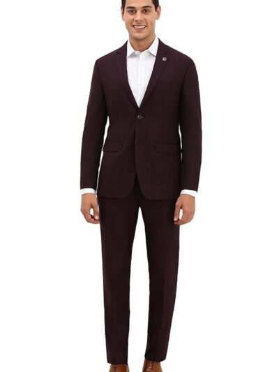 Allen Solly Men Maroon Slim Fit Check Formal Two Piece Suit